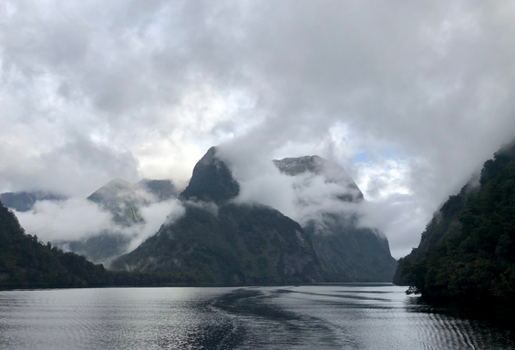 FWD_Webseite_Neuseeland_Beitragsbild 1 FWD_Webseite_Neuseeland_Beitragsbild 1
