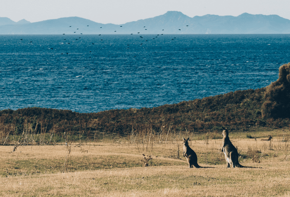 Australien Choice Schüleraustausch Down Under Stipendium