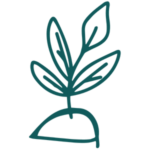 Icon-Experiment-Pflanze