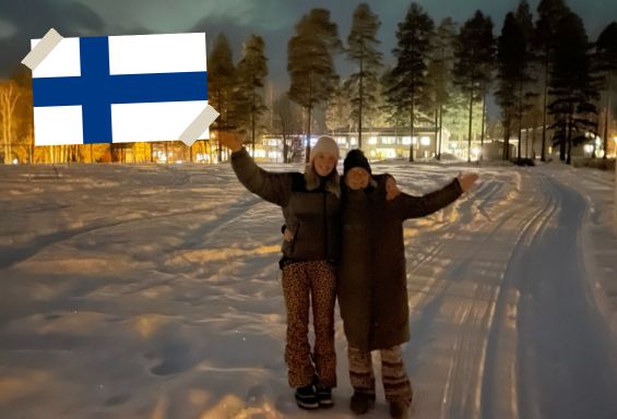 Länderübersicht Vorlage - Finnland