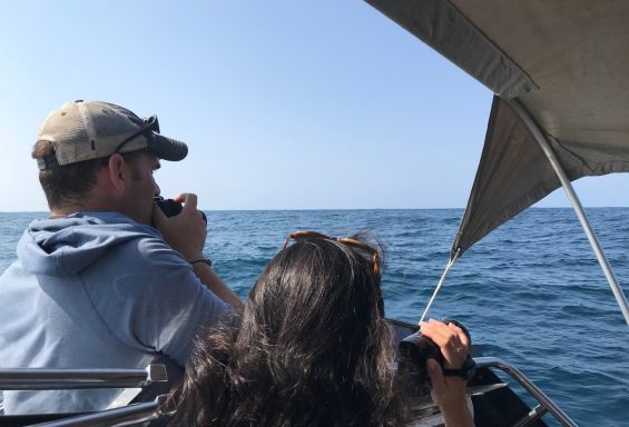 202511_Wildlife Mosambik Bild 1